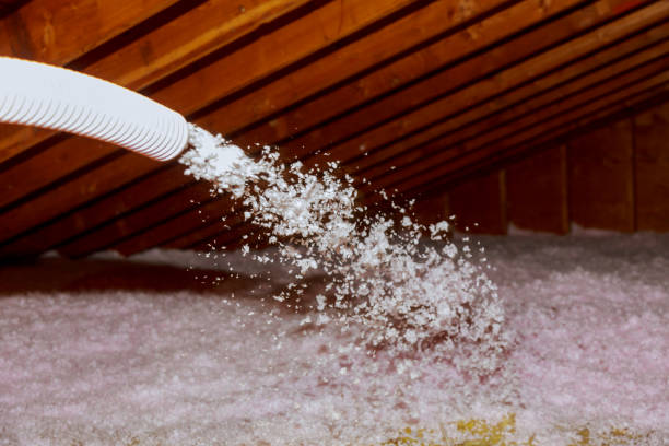 Professional Insulation Contractor in Sorgho, KY