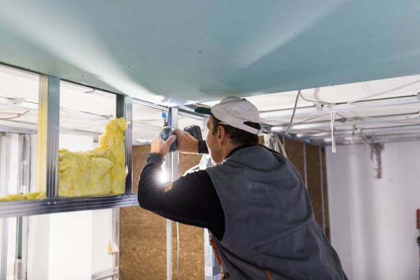 Best Specialized Insulation Services in Sorgho, KY