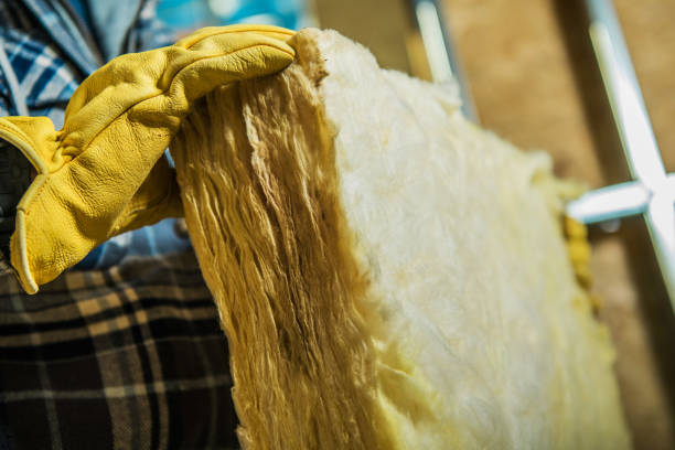 Best Eco-Friendly Insulation in Sorgho, KY