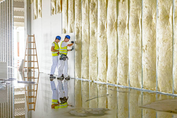 Best Insulation Maintenance and Repair in Sorgho, KY